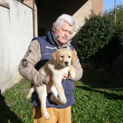 Allevamento Labrador Siriorosi di Fabrizio Gilioli, Barco orari di apertura