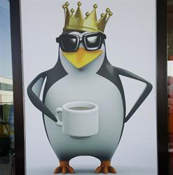 Al Pinguino Bar, Colle di Fuori orari di apertura