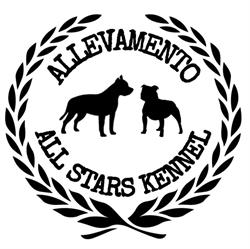 Allevamento All Stars Kennel Amstaff e Staffy, Parzanica orari di apertura
