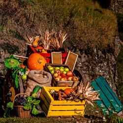 Azienda Agricola FONTANARI PIETRO, Pergine Valsugana orari di apertura