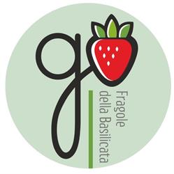 Fragole della Basilicata, Scanzano Jonico orari di apertura