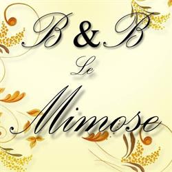 B&B Le Mimose, Pulsano orari di apertura
