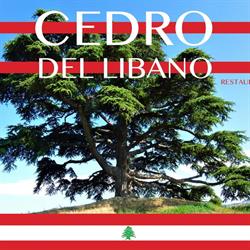 Cedro del Libano, Savona orari di apertura