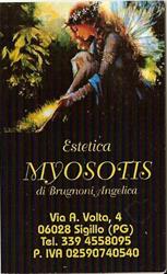 Estetica Myosotis, Sigillo orari di apertura