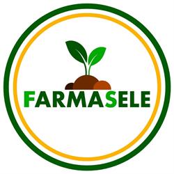 Farmasele, di Del Gaiso Francesco, Bellizzi orari di apertura