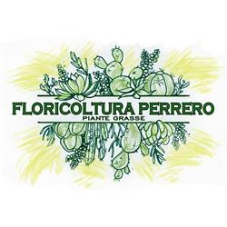 Floricoltura PERRERO, San Francesco al Campo orari di apertura