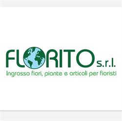 Florito s.r.l., Venaria Reale orari di apertura
