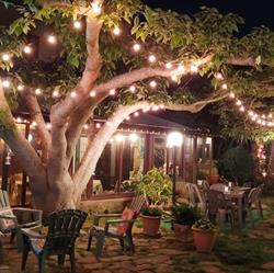 Garden Cafè Lounge Bar - SALEMI, Ulmi orari di apertura