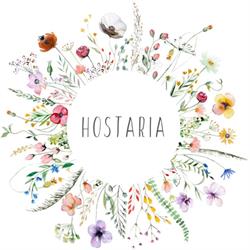HOSTARIA AL BUONGUSTO, Visano orari di apertura