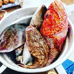 Marettimo i Freschi - Street Food 37.2.2 e Wine Bar, Vita orari di apertura