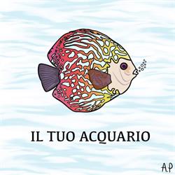 IL TUO ACQUARIO, Qualiano orari di apertura