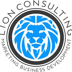 Lion Consulting srl, Milano orari di apertura