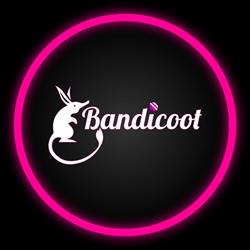 Bandicoot, Zingone orari di apertura