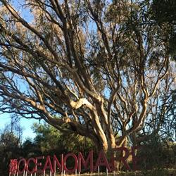OceanoMare, Villaseta orari di apertura