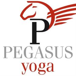 Pegasus Yoga Castelfranco - Per-corsi yoga e Spazio Ascolto, Castelfranco Veneto orari di apertura