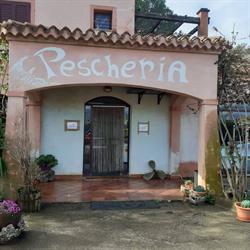 Pescheria Aversano Tortolì, Arbatax - Orari di apertura