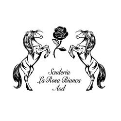 Scuderia La Rosa Bianca a.s.d., Roncade orari di apertura