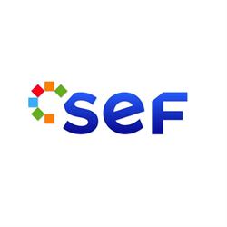 SEF Studio srl, Arezzo orari di apertura