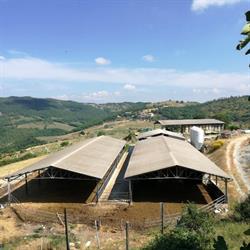 Società agricola Collebene S.S. Fatica Alessio, Nicolas & C., Gubbio orari di apertura