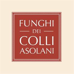 Società Agricola Funghi dei Colli Asolani, Trevignano orari di apertura