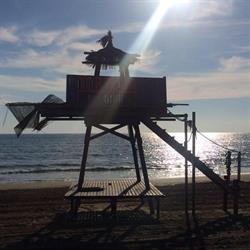 Stabilimento Tortuga Beach, Latina orari di apertura