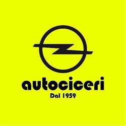 Autociceri Concessionario Opel, Albino orari di apertura