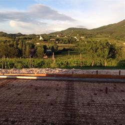 Azienda Facchin, Vo' orari di apertura