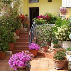 Casavecchia B&B, Gallipoli orari di apertura