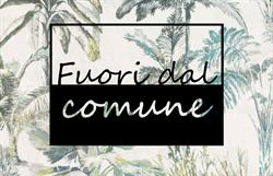 Fuori dal Comune, Sovizzo orari di apertura