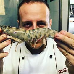 La Scaletta - Jet Catering, Pisa orari di apertura