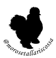 Morosetallariscossa, Villanova Mondovì orari di apertura