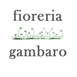 Fioreria Gambaro, Castano Primo orari di apertura