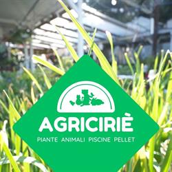 Agricirie, Ciriè orari di apertura