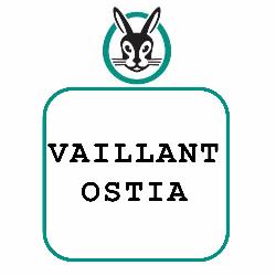 Vaillant Ostia (Clima Tecno Service Srl), Roma orari di apertura