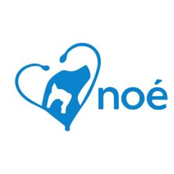 Noè Ambulatorio Medico Veterinario, Telese Terme orari di apertura