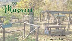 Area Picnic Masucci Serino, orari di apertura