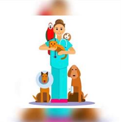 Ambulatorio Veterinario Dr.ssa Valentina Baldo, Roè Volciano orari di apertura