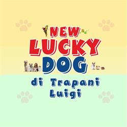 New Lucky Dog, Palermo orari di apertura
