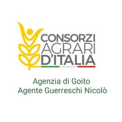Consorzi Agrari d’Italia - Agenzia di Goito, orari di apertura