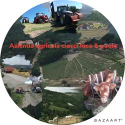 Azienda agricola ciacci luca, Isola del Piano orari di apertura
