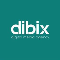 Web Marketing SEO & ADV Dibix Srl, Cascina orari di apertura