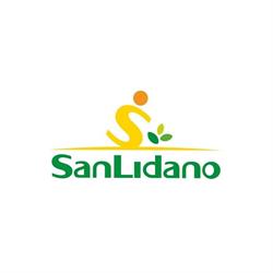 San lidano Angurie, Sezze orari di apertura