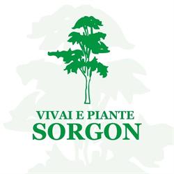 Vivai e piante Sorgon, San Donà di Piave orari di apertura