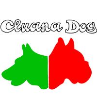 Cluana Dog, Santa Maria Apparente orari di apertura