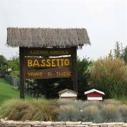 Vivai Bassetto, Thiene orari di apertura