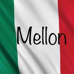Mellon Vende e Installa, Roncoferraro orari di apertura