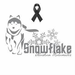 Snowflake Alaskan Malamute, Rio Saliceto orari di apertura