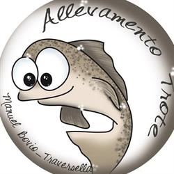 Trote Traversella - allevamento Bovio M., orari di apertura