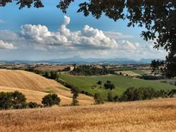 Marche Estate Agency, Fermo orari di apertura