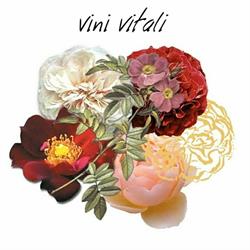 Azienda Vitivinicola Vitali, Fano orari di apertura